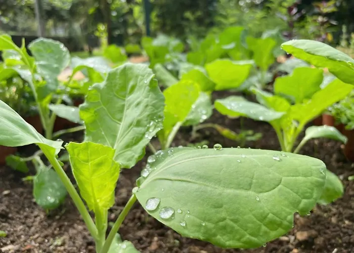 Quinta Do Candeeira 롯지 산타마리아다페이라